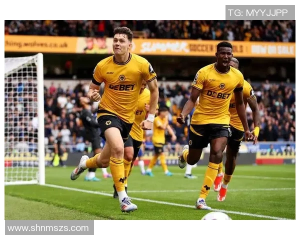 维拉对阵狼队最新战况分析及双方球员表现点评 维拉对阵狼队最新战况分析及双方球员表现点评