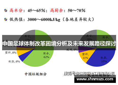 中国足球体制改革困境分析及未来发展路径探讨