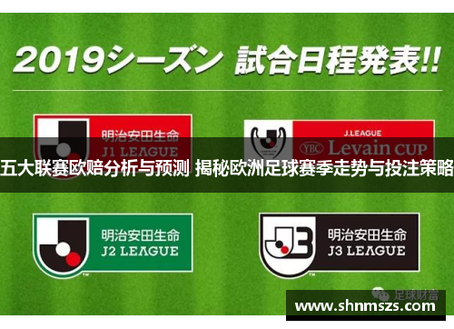 五大联赛欧赔分析与预测 揭秘欧洲足球赛季走势与投注策略